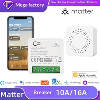 Modul Sakelar Pintar SLS Matter 16A 1 Gang dengan Kontrol Suara HomeKit Alexa Google, Kontrol Aplikasi, dan Wi-Fi untuk Otomatisasi Rumah