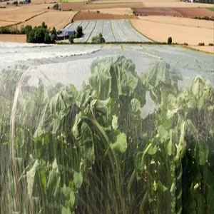 Best Verkopende Pe Net Agrarische Anti-Bladluis Netbescherming Tuingaas Voor Planten