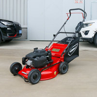 Mini tondeuse à gazon avec bac de ramassage, machine à couper l'herbe, tondeuse à pousser manuelle, tondeuse à gazon thermique autoportée