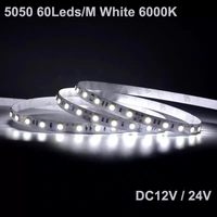 Bande LED souple flexible 5050 certifiée CE ROHS, IP20, 5m par rouleau, 12V/24V, pour éclairage encastré de meuble à chaussures