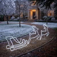 Ensemble de rennes et de traîneau lumineux LED N-Concept pour Noël, 2 rennes avec 1 traîneau, décoration de jardin de Noël en extérieur