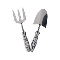 Ensemble d'outils de jardinage en acier inoxydable, deux pièces, directement de l'usine : plateau de plantation de fleurs, pot décoratif, arrosoir, outils de jardinage pour plantes