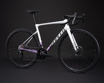 Company Overview - Shenzhen Subite Bicycle Industry Development Co