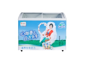 ตู้แช่ไอศกรีมเชิงพาณิชย์ X-MING CE ETL NSF <span class=keywords><strong>nestle</strong></span> แบบโชว์สินค้าสไตล์อิตาลี ขนาดเล็ก สำหรับโรงงานผลิตไอศกรีมและไอติมแท่ง - Product Image 2