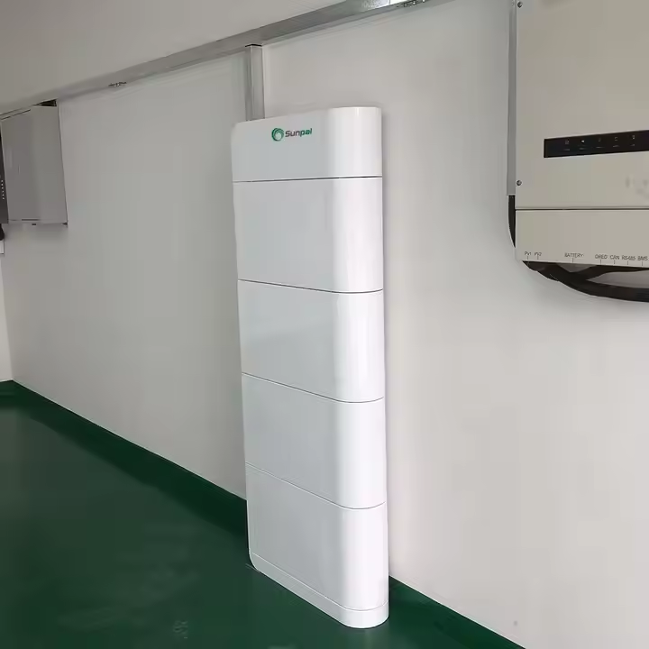 Sunpal Lithium Ion Batteries 100Ah 15kWh 20kWh 204.8V Lifepo4 Battery Solar Power · image 6