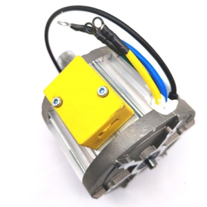 Motor de Tracción 11313550503 para Montacargas - Product Image 6