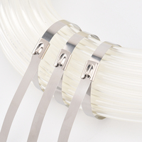 Attaches zippées en acier inoxydable 304 de haute qualité attaches de câble autobloquantes 7.9mm de large 250mm de long 12mm de large Options disponibles
