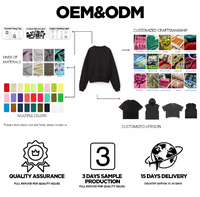 Camiseta de Manga Larga Raglán con Estampado Personalizado, Venta al Por Mayor, OEM, ODM, Marca Privada, Camiseta de Béisbol para Marcas de Ropa Urbana y Revendedores