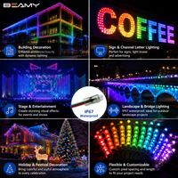 Luz LED Pixel RGB WS2811 de 12 mm, direccionable, programable, IP67, impermeable, para decoración de publicidad exterior