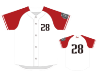 Maillot de baseball personnalisé, uniforme de match respirant en polyester anti-humidité, vente en gros pour jeunes et adultes avec short et logo