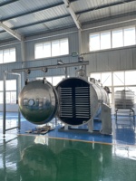 Grote capaciteit vacuümvriesdroogmachine voor snoep en dierenvoer, automatische lyofilisator voor fruitsnacks