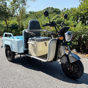 Precios Económicos, Hermoso Scooter de 3 Ruedas, Triciclo de Movilidad para 3 Adultos con Asiento para Pasajeros en Oferta - Product Image 3