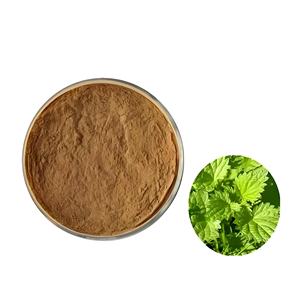 Poudre d'extrait de racine d'ortie naturelle et extrait d'ortie <span class=keywords><strong>Urtica</strong></span> <span class=keywords><strong>Dioica</strong></span> avec extrait 10:1 d'ortie piquante pour compléments alimentaires - Product Image 3