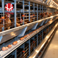 Système de cages à poules pondeuses automatiques de type H avancé, équipement d'élevage avicole en acier, cage à poules pondeuses de type H avec système d'abreuvement par tétine