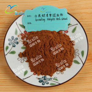 純粋な天然<span class=keywords><strong>Hedyotis</strong></span>拡散エキスパウダーOldenlandia拡散<span class=keywords><strong>Hedyotis</strong></span>ハーブエキスパウダー - Product Image 2