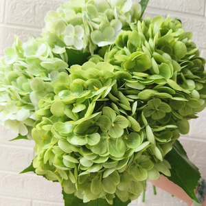 Высококачественная искусственная гортензия из латекса с эффектом натурального прикосновения, большая головка, зеленая с белым, водонепроницаемая, для выпускного, Рождества, свадьбы, дома - Product Image 6