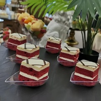 Assiette à dessert jetable en plastique de forme irrégulière style français, mini-bol à sauce, coupelle à sauce, assiette à gâteau, coupelle à sauce pour la sauce soja