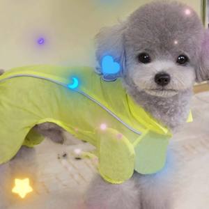 थोक कस्टम पॉलिएस्टर पालतू कोट क्लासिक शैली शीतकालीन सूर्य-प्रमाण छोटे एक्स कुत्तों के लिए आधुनिक डिजाइन फोल्डेबल प्रिंट - Product Image 3