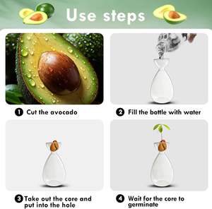 वेस ग्लास एवोकैडो प्लांट स्टार्टर ग्लास वेज़ एवोकैडो पेड़ उगाने वाले पौधे ग्लास वेस - Product Image 6