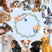 Tapis de Mahjong Personnalisé avec Motif Chien Mignon, Antidérapant, en Caoutchouc Naturel, Lavable, Roulé, Durable, de Luxe, Tapis de Table Américain, Fabrication OEM DDP USA