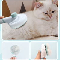 Brosse lissante courbée en acier inoxydable pour animaux de compagnie, auto-nettoyante, avec logo personnalisé, pour chiens et chats, vente en gros d'usine