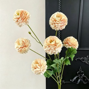 ดอกเบญจมาศสีม่วงหกหัว - Product Image 4
