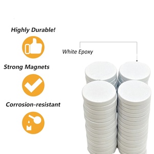 전문 제조업체 화이트 에폭시 코팅 영구 희토류 NdFeB 자석 라운드 디스크 - Product Image 3