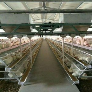 Galvanizado de 3 / 4 capas de aves de corral/96/128 aves de jaula de pollo para <span class=keywords><strong>la</strong></span> venta - Product Image 5