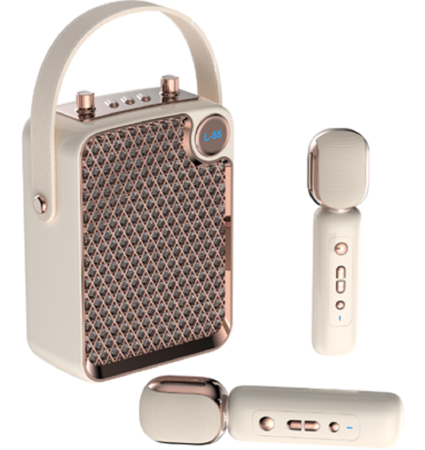 Portable Retro Karaoke  Speaker with 2 Wireless Microphones, Mini Vintage Handle Speaker for Home Party Outdoor