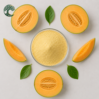 YUSAIL Poudre d'extrait de cantaloup 100% naturelle de qualité alimentaire, poudre de melon Hami pour les boissons