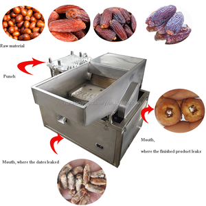 Mesin Pitting Otomatis Datte Continous Olive Stanley Plum Pitting Machine Garansi 2 Tahun - Product Image 3