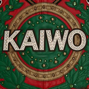 Vestes en cuir d'agneau personnalisées OEM, style universitaire, haute qualité, cuir d'agneau français naturel, vestes en cuir véritable, vêtements d'extérieur pour hommes - Product Image 4