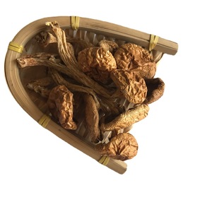 Hua Zi Gu The Split wholiota microspora เห็ด nameko เชื้อราสำหรับอาหาร - Product Image 5