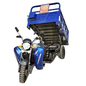 Nhiệm Vụ Nặng Nề Dump Ba Bánh Xe Máy Hàng Hóa 200cc Moto Hàng Hóa Ba Bánh Cho Nông Nghiệp Sử Dụng