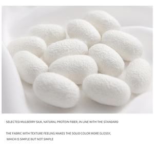 थोक 19 मिमी 100% शहतूत रेशम जिपर लिफाफा कढ़ाई प्रिंट तकिए तकिए के तकिए के तकिये को कवर करते हैं। - Product Image 6