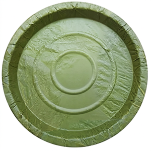 Platos de Hoja de Sal Natural, Vajilla Desechable Ecológica para Restaurantes - Product Image 1