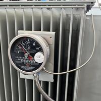 Transformador de 1500 Kva 1600kva 22/0.415kv 24940v Trifásico Sumergido en Aceite, Estándar IEEE