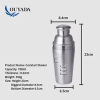 Shaker à cocktails professionnel en acier inoxydable de 750 ml, shaker à cocktail anti-fuite, kit de barman pour les fournitures de bar à domicile