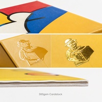 Boîte d'abonnement en papier kraft de marque, emballage à rabat, couleur Pantone, conception et logo personnalisés, conception et impression sur mesure