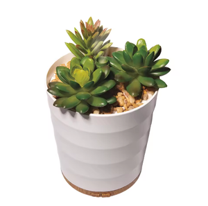 Diffuseur de parfum <span class=keywords><strong>en</strong></span> plastique pour plantes OEM, <span class=keywords><strong>pot</strong></span> de fleurs, diffuseur d'arômes, diffuseur d'huiles essentielles, humidificateur d'air à brume fraîche, <span class=keywords><strong>plante</strong></span> verte - Product Image 4