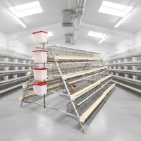 Cage de type A pour élevage en environnement propre, 3 niveaux, 96 oiseaux, fond en fil métallique