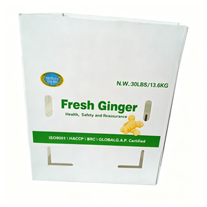 Dustproof Moisture Proof PP Hollow Sheet Stackable <b>Plastic</b> <b>Storage</b> <b>Bin</b> <b>for</b> Indoor Outdoor <b>Storage</b> and Protective Packaging Use - Product Image 4
