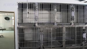 犬猫用獣医ペット病院ケージ304ステンレス鋼ユニークなスライドドアロックデザイン13スクエア病院ケージ - Product Image 5