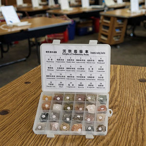 Muestras de rocas y minerales en bruto, espécimen de Strata sedimentaria, ayudas para enseñanza de geología - Product Image 4