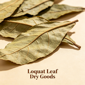 Feuille de Loquat (Eriobotryae Folium) – Matière première végétale aromatique pour thé floral, boisson, parfum, encens, savon, extrait botanique - Product Image 2