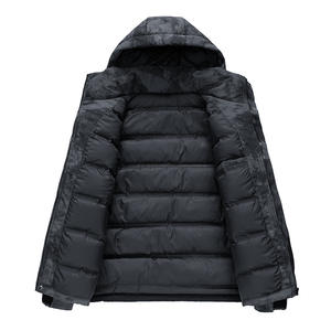 CLARKE QUEEN personnalisable hiver nouveau hommes Style coréen décontracté à capuche épaissi chaud canard doudoune manteau polyvalent - Product Image 2