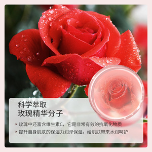 Set de Cuidado Facial Reafirmante y Lifting de Doble Fermentación con Té Negro y Rosa Moika, 8 Piezas, Crema Hidratante - Product Image 5