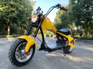 Motocicleta Eléctrica de 3000w con Tecnología de Última Generación, Fabricada en China a Bajo Precio, Citycoco Elektro Roller - Product Image 1