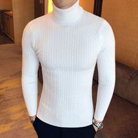 Frühling und Herbst Neuer Hochwertiger Rollkragen-Herrenpullover mit Streifenmuster für Junge Erwachsene Langärmeliger Atmungsaktiver Pullover