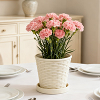 Pot de fleurs en plastique PP durable au design traditionnel avec trou de drainage, capacité de 1,42 L, pour plantes succulentes d'intérieur et jardinage